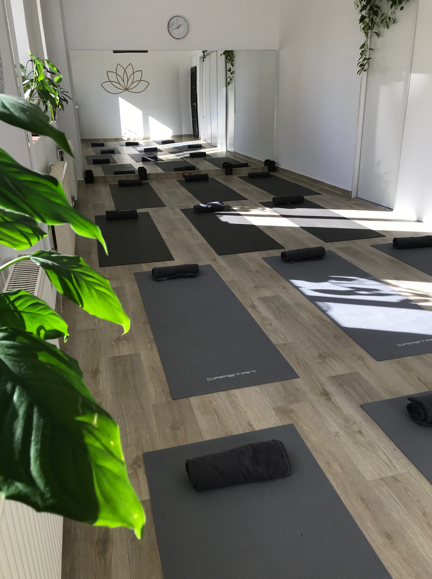 Zen Room Yoga and Pilates